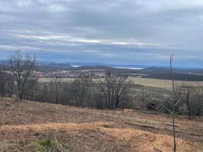 Eladó zártkert - Balatonszőlős / 2. kép