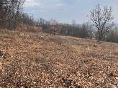 Eladó zártkert - Balatonszőlős / 4. kép