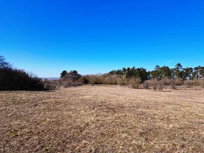 Eladó mezőgazdasági terület - Barnag / 6. kép