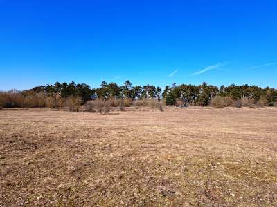 Eladó mezőgazdasági terület - Barnag / 7. kép