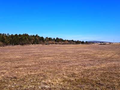 Eladó mezőgazdasági terület - Barnag / 2. kép