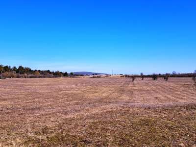 Eladó mezőgazdasági terület - Barnag / 1. kép