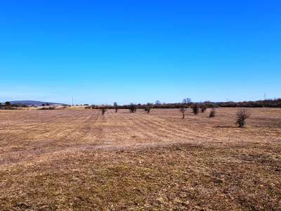 Eladó mezőgazdasági terület - Barnag / 8. kép