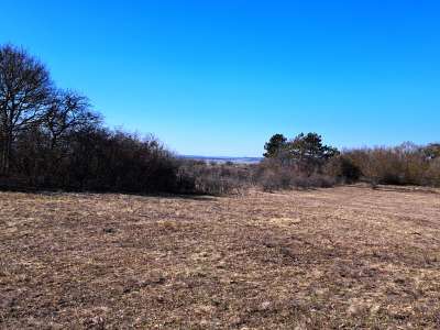 Eladó mezőgazdasági terület - Barnag / 9. kép