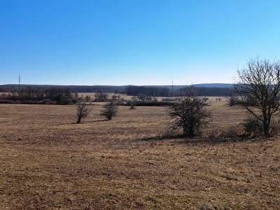 Eladó mezőgazdasági terület - Barnag / 4. kép