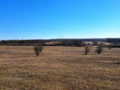 Eladó mezőgazdasági terület - Barnag / 10. kép