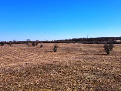 Eladó mezőgazdasági terület - Barnag / 3. kép
