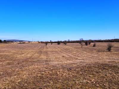 Eladó mezőgazdasági terület - Barnag / 11. kép