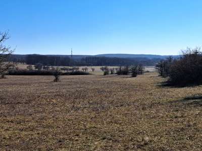 Eladó mezőgazdasági terület - Barnag / 14. kép