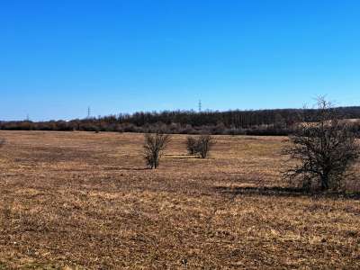 Eladó mezőgazdasági terület - Barnag / 15. kép