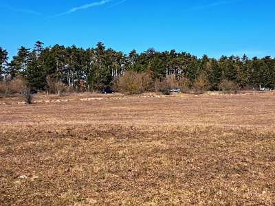 Eladó mezőgazdasági terület - Barnag / 5. kép