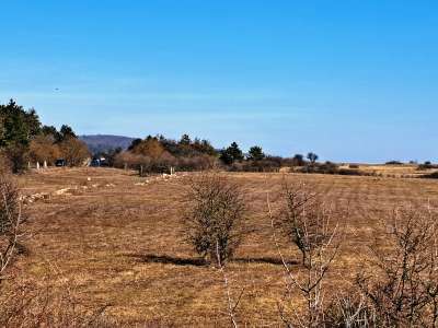 Eladó mezőgazdasági terület - Barnag / 16. kép