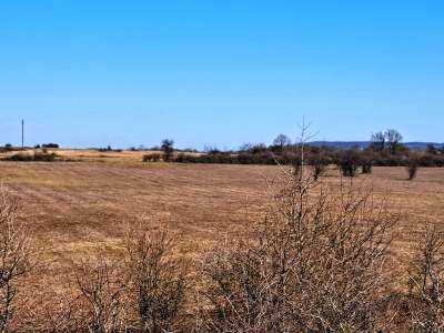 Eladó mezőgazdasági terület - Barnag / 17. kép