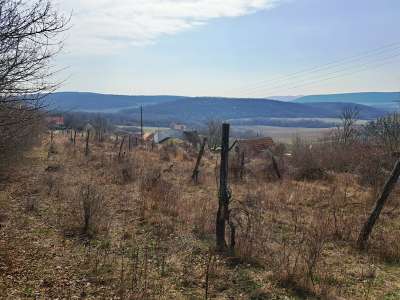 Eladó zártkert - Balatoncsicsó / 8. kép