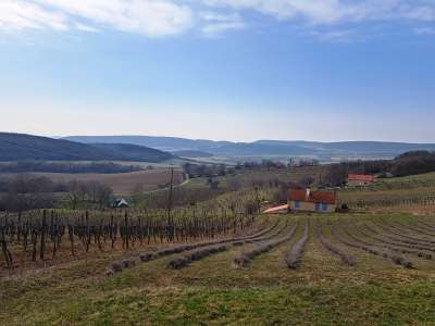 Eladó zártkert - Balatoncsicsó / 8. kép