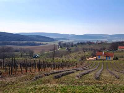 Eladó zártkert - Balatoncsicsó / 1. kép