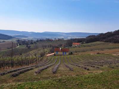 Eladó zártkert - Balatoncsicsó / 9. kép