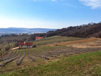 Eladó zártkert - Balatoncsicsó / 10. kép