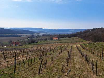 Eladó zártkert - Balatoncsicsó / 9. kép