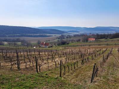 Eladó zártkert - Balatoncsicsó / 2. kép