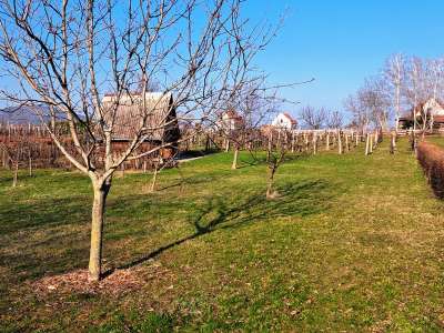 Eladó kert, gyümölcsös - Balatonfüred / 9. kép