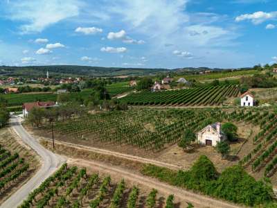 Eladó mezőgazdasági terület - Szentantalfa / 4. kép