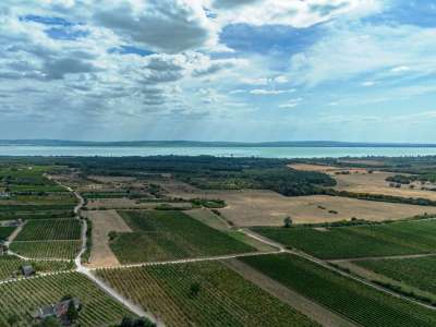 Eladó mezőgazdasági terület - Szentantalfa / 1. kép