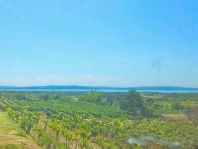 Eladó gazdasági épület - Szentantalfa / 7. kép