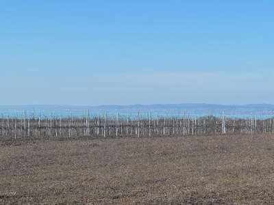 Eladó mezőgazdasági terület - Balatonvilágos / 1. kép
