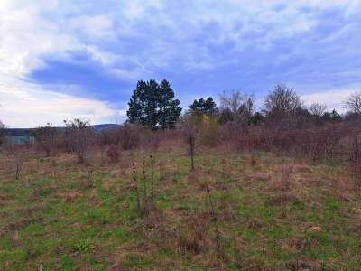 Eladó külterület - Veszprém / 2. kép