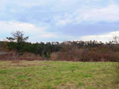 Eladó külterület - Veszprém / 5. kép