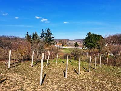 Eladó mezőgazdasági terület - Balatonfüred / 1. kép