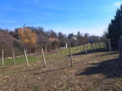 Eladó mezőgazdasági terület - Balatonfüred / 2. kép