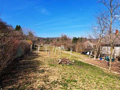 Eladó mezőgazdasági terület - Balatonfüred / 4. kép