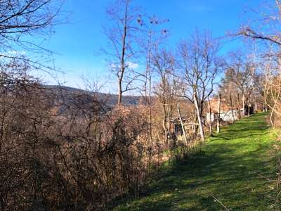 Eladó mezőgazdasági terület - Kapolcs / 1. kép