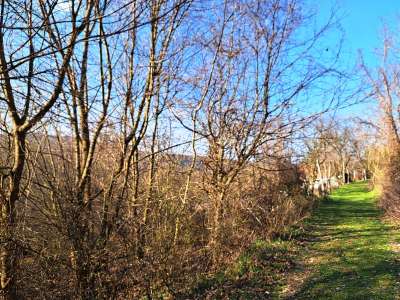 Eladó mezőgazdasági terület - Kapolcs / 2. kép