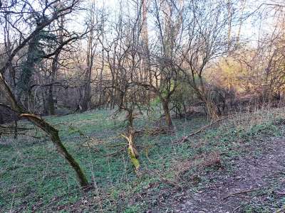 Eladó mezőgazdasági terület - Kapolcs / 4. kép