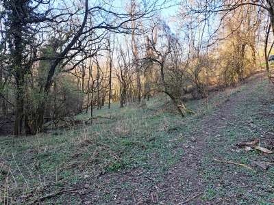 Eladó mezőgazdasági terület - Kapolcs / 6. kép