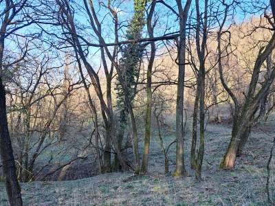 Eladó mezőgazdasági terület - Kapolcs / 9. kép