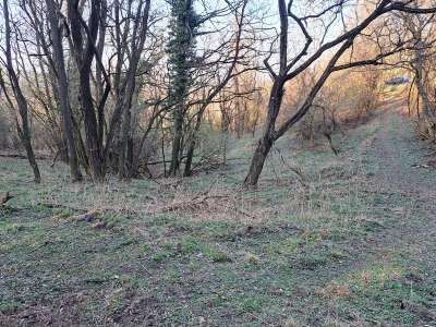 Eladó mezőgazdasági terület - Kapolcs / 12. kép