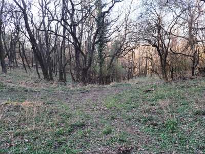 Eladó mezőgazdasági terület - Kapolcs / 13. kép