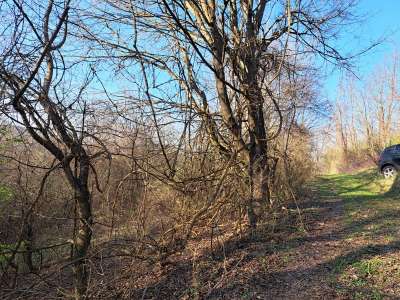 Eladó mezőgazdasági terület - Kapolcs / 14. kép