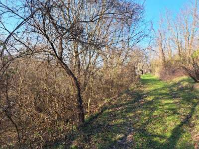 Eladó mezőgazdasági terület - Kapolcs / 15. kép