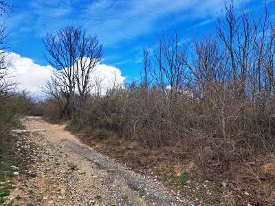 Eladó mezőgazdasági terület - Pécsely / 6. kép