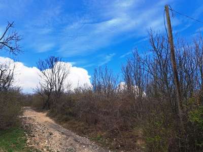 Eladó mezőgazdasági terület - Pécsely / 5. kép