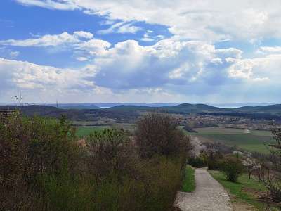 Eladó mezőgazdasági terület - Pécsely / 1. kép