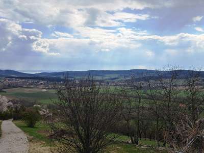 Eladó mezőgazdasági terület - Pécsely / 2. kép