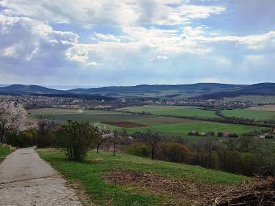 Eladó mezőgazdasági terület - Pécsely / 4. kép