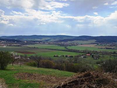 Eladó mezőgazdasági terület - Pécsely / 11. kép