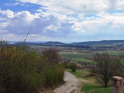 Eladó mezőgazdasági terület - Pécsely / 13. kép